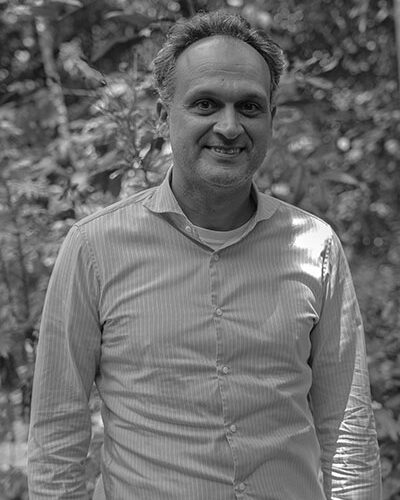 Luis Araque